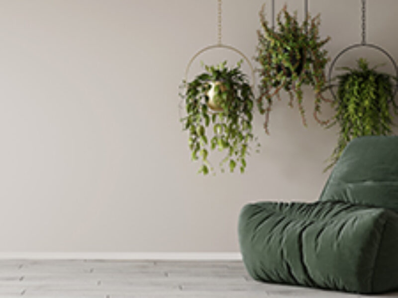 Kings Avenue Practice Gallery Image